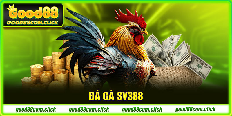 đá gà sv388