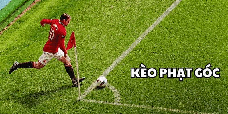 Điểm đặc biệt của kèo góc so với các kèo bóng đá khác